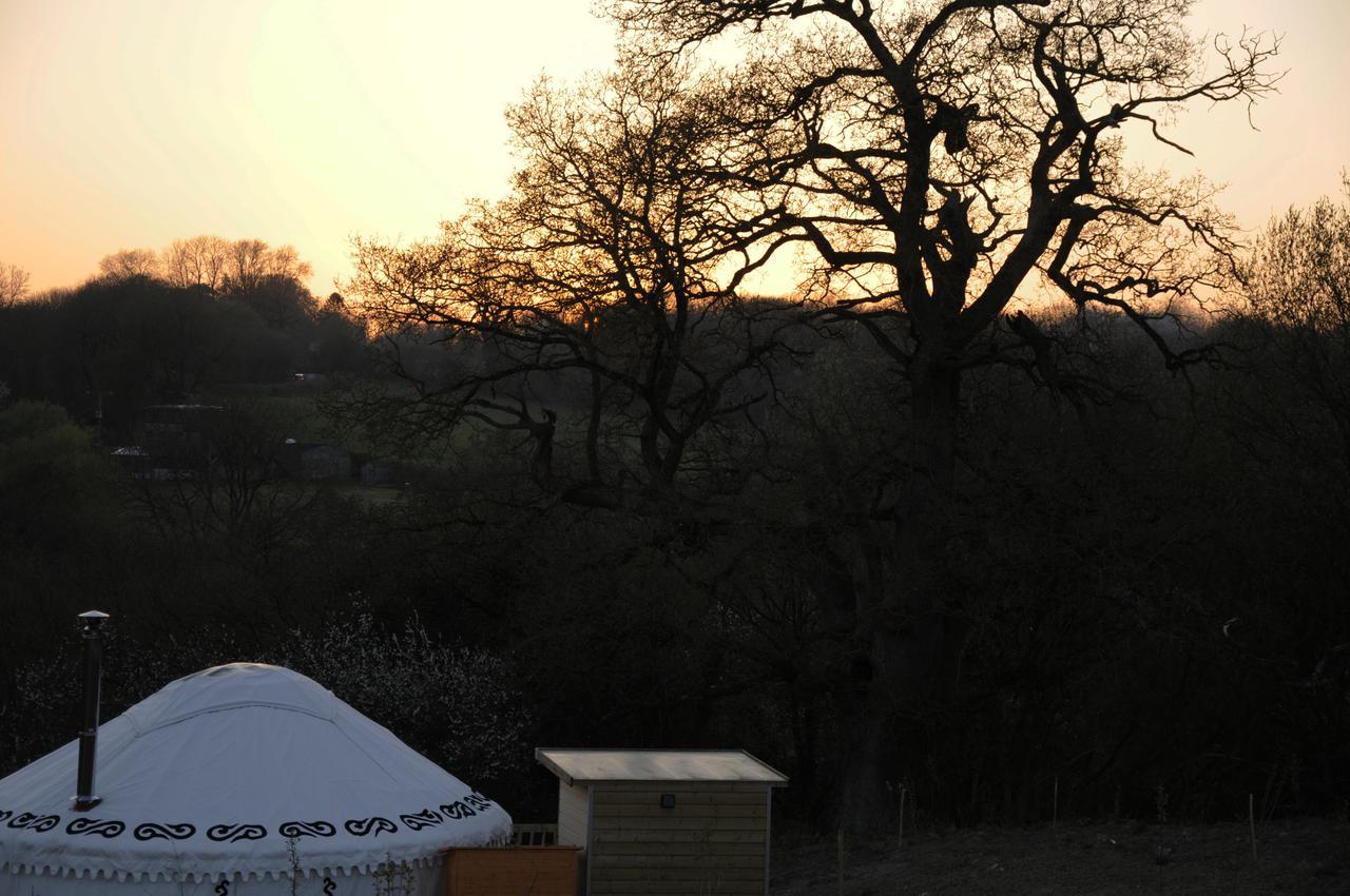 فندق Glamping On The Hill Mells المظهر الخارجي الصورة